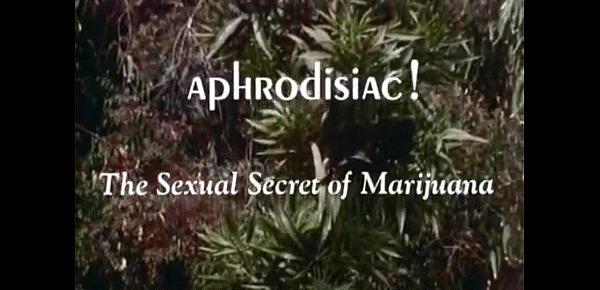  大麻的性秘密 完整版 中文字幕